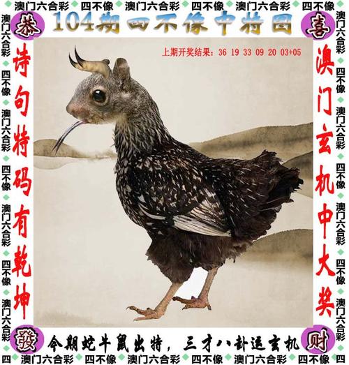 新闻中心 第14页