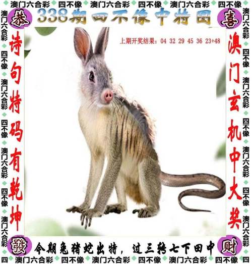 新澳彩免费长期资料大全:海洋馆员工脚踢海狮