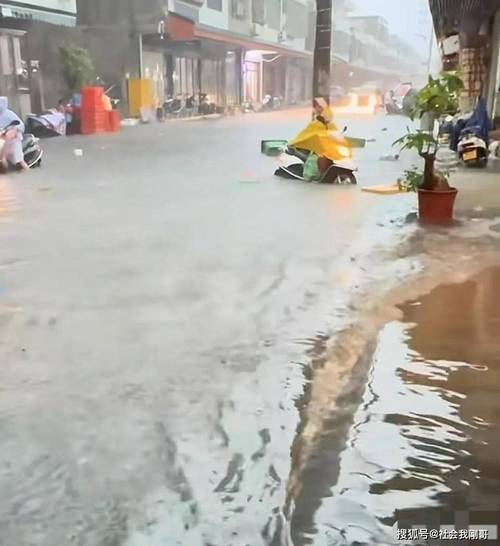 下载中心 第6页