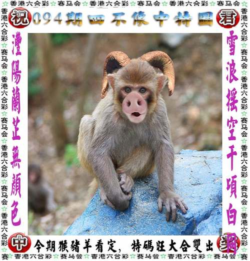 澳彩资料免费的资料大全wwe全面解答:吃得胖是营养不良吗
