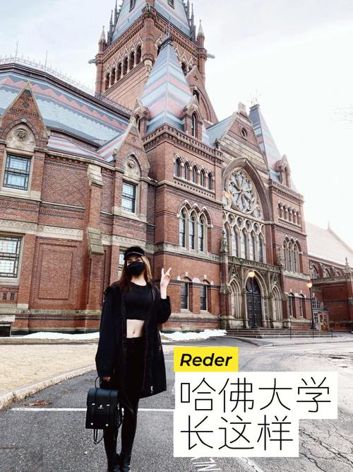 新澳今日图片分析:哈佛外国学生需转学