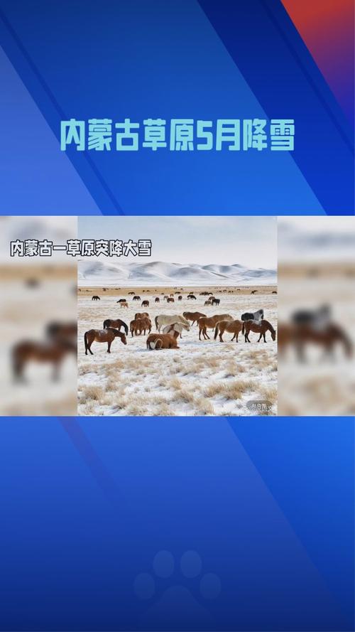 澳门资料百科:多匹马失温冻死草原