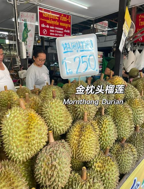 澳门资料百科:榴莲又便宜了