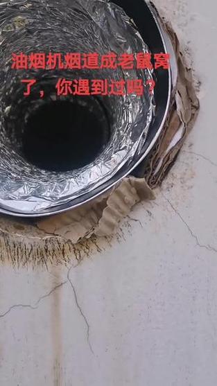 澳门资料百科:男子洗空调捅到鼠窝