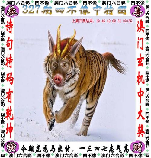 2025澳门天天开好彩大全2023:云南滇池现鱼跳龙门