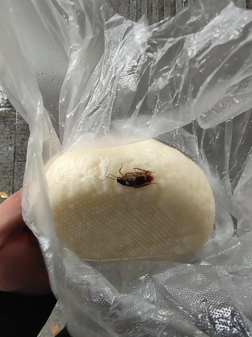 新澳今日图片分析:酒店早餐吃出蒸蟑螂