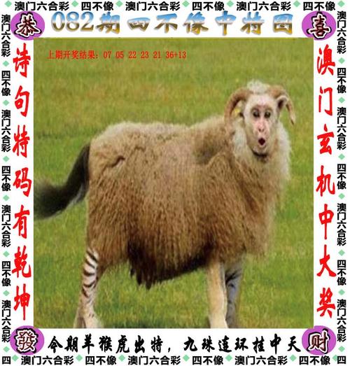 2025澳门天天开好彩大全2023:苏超火到需要换场地