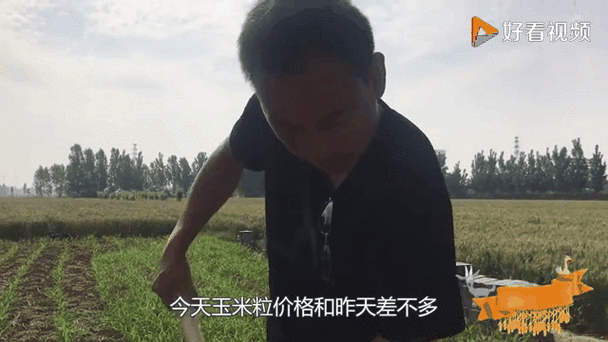 澳门资料百科:任达华回山东收麦子